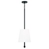 Capital Lighting Brody 2 - Light Island Pendant Light in  Matte Black - 2 of 4