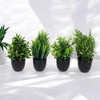Unique Bargains Artificial Plants 4 Basin Combination Indoor Plastic Black 2.64"x2.64"x6.69" 1 Pc - 2 of 4