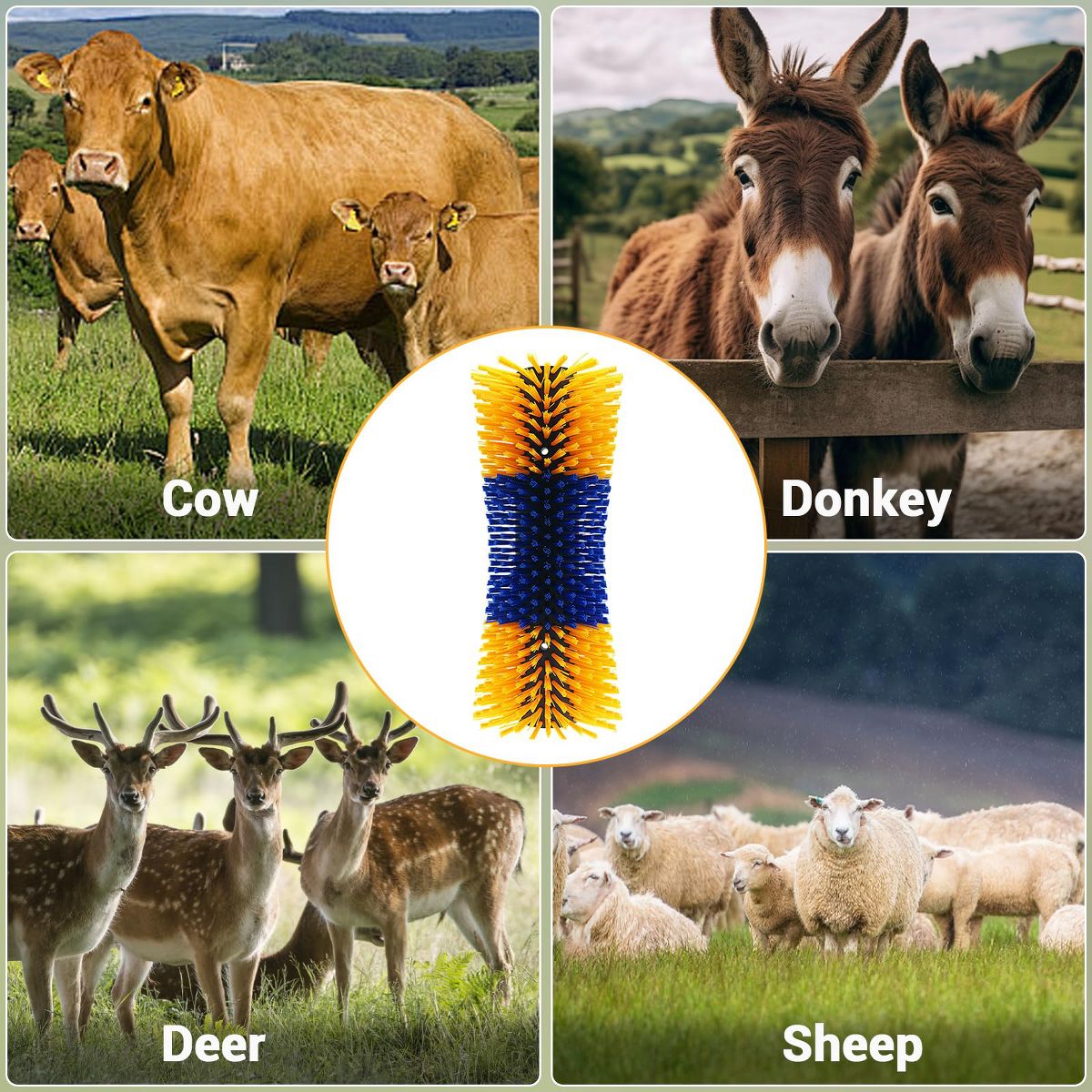 Livestock Scratching Brush, Horse Brushes for Grooming, Itch Relief Horse Scratcher Brushes Kit - thumbnail 9