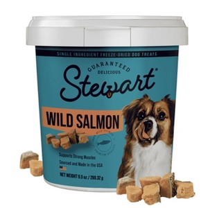 Stewart Freeze-Dried Wild Salmon Dog Treat - 9.5oz Tub - 1 of 4