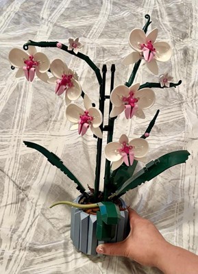 LEGO Icons Orchidee, Künstliche Pflanzen Set mit Blumen, Modellbausatz für  Erwachsene, Home und Zimmer-Deko, Botanische Sammlung, Geschenke für  Ehefrau oder Ehemann, Sie und Ihn 10311: : Spielzeug