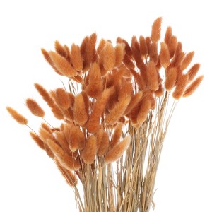 Unique Bargains Decorative Natural Dried Floral Bunny Tail Artificial Plants 120 Pcs - 1 of 4