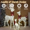 Karl Home 3PCS Reindeer Family Christmas Decoration with LED Lights - 3 of 3