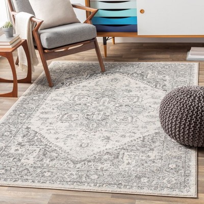 Chartres Light Gray Hand-Knotted Synthetic Area Rug