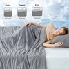Cozy Bliss Reversible Cooling Comforter Soft Breathable Cooling Blanket for Night Sweats - 4 of 4