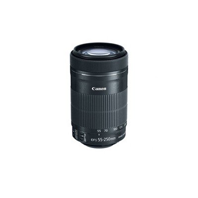 Canon Ef S 55 250mm F 4 5 6 Is Stm Target