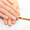 Unique Bargains Sweep Nail Painting Brushes for Polish Painting Home DIY Gold Tone Clear White - 2 of 4