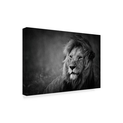 Trademark Fine Art -Mohammed Alnaser 'Regal Lion' Canvas Art