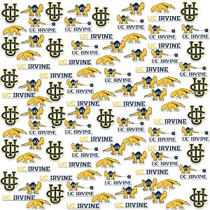 University Of California Irvine 100Ct Sticker Packs Miscellaneous 100 Ct. Sticker Pack - 1 of 4