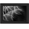 HomeRoots Delicate Beauty Black Framed Print Wall Art - 4 of 4