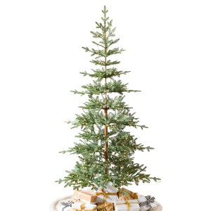 Alpine Balsam Fir Tree - 1 of 4