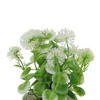 Unique Bargains Artificial Plants Hydrangea Arrangement Plastic 5.51"x5.51"x7.87" 1 Pcs - 4 of 4