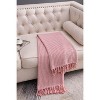 Gulches Tassel Accent Polychrome Decorative Recycled Cotton 50x60 Inch Throw Blanket 2-Pack - 3 of 4