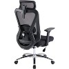 Ergonomic Mesh Desk Chair High Back Computer Chair with Liftable Armrest Adjustable 3D Headrest Lumbar Support Swivel Executive Task Chair - 3 of 4