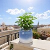 Syemin Planters Set of 2 Gradient Ceramic Flowerpot, Indoor and Outdoor Modern Planter for Patio, Garden, Windowsill, Blue, 8.46"*8.46"*7.28" - 2 of 4