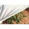 DeWitt Company 12 by 500 Feet of 5 Ounce Plant & Seed Winter Garden Guard Fabric - 3 of 3