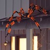 5' LED Lit Hanging Spider - Hyde and EEK! Boutique™: Battery Operated, Indoor/Outdoor Décor - 2 of 3