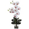 Nearly Natural Double Giant Phalaenopsis with Vase, Orchid - 3 of 3