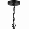 Craftmade Lighting Hailie 6 - Light Chandelier in  Flat Black - 4 of 4