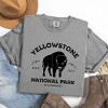 Simply Sage Market Vintage Yellowstone National Park Garment Dyed Tee - 3 of 4