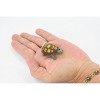 Collectible Wildlife Gifts | Turtle, Box Turtle, Tortoise, Rubber Reptile, Educational, Realistic, Hand Painted,  Model,   Gift,     2"      F427 B364 - 3 of 4