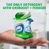 Gain Flings Laundry Detergent Pacs, 60 Count, Island Fresh Scent, 3 in 1 HE Detergent Pacs with Oxi Boost and Febreeze - 3 of 4