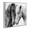 Stupell Industries Horse Love Duo Portrait, 20" x 16" - 3 of 4