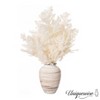 Uniquewise Preserved Real Floral Stems Chic Vase Fillers & Accents for Bouquets Centerpieces - 4 of 4