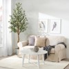 Faux Olive Tree Artificial Indoor, 4/5/6/7ft Tall Fake Olive Tree with Moss - 3 of 4