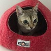 Yeti Pet Cave Pet Bed for Cats and Small Dogs, 100% New Zealand Wool, Red - 4 of 4