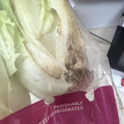 Guest review image 1 of 2, zoom in