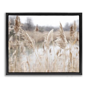 Stupell Industries Rural Pampas Grass Reeds Lakeside Pond Marsh Floating Frame Canvas Art - 1 of 4
