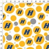 Hofstra University Secondary Logo Gift Wrap Wrapping Paper Roll 30x72 - 2 of 4