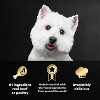 Cesar Classic Loaf in Sauce Liver, Chicken, Turkey, Steak and Beef Flavor Variety Pack Small Breed Wet Dog Food - 3.5oz/36ct - 4 of 4