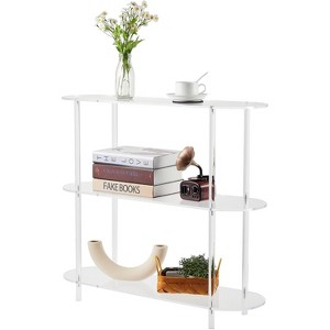 3-Tier Acrylic Ladder Bookshelf – Clear Wall Mounted Bookcase, Space-Saving Floating Shelf for Small Spaces, Living Room, Bedroom, Bathroom, Office - 1 of 4