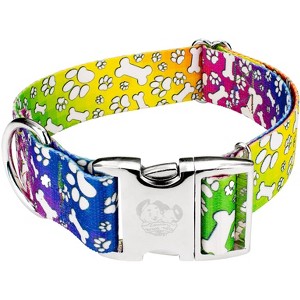 Country Brook Petz HossFit Jr Wide Premium  Dog Collar - Groovy Collection - 1 of 4