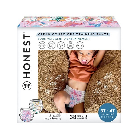 2-Pk) Honest Company Toddler Training Pants Undie Fairies Size 4T