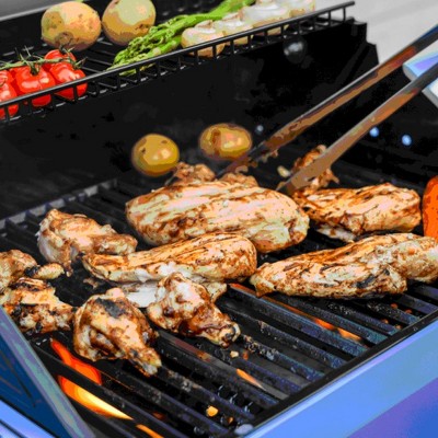 Mesa Series Red Stainless Steel 2-Burner Propane Gas Grill