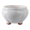 Modern Flower Pot for Home Decor with Raised Base - Indoor and Outdoor Plant Pot for Succulents, Houseplants, Patio, or Garden Decor - 6" White - 3 of 4