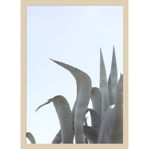 Amanti Art Charming Agave by Shot by Clint Wood Framed Wall Art Print - 1 of 4