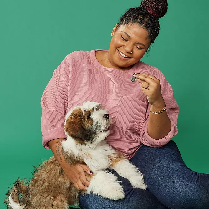 Why Do Dogs Love Bully Sticks