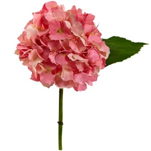 Nearly Natural 12-in Hydrangea Artificial Flower (Set of 12), Pink - 1 of 1