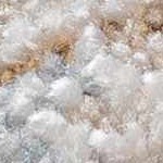 cream, lavender, olive, sage, paleblue