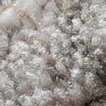 cream, lavender, olive, sage, paleblue