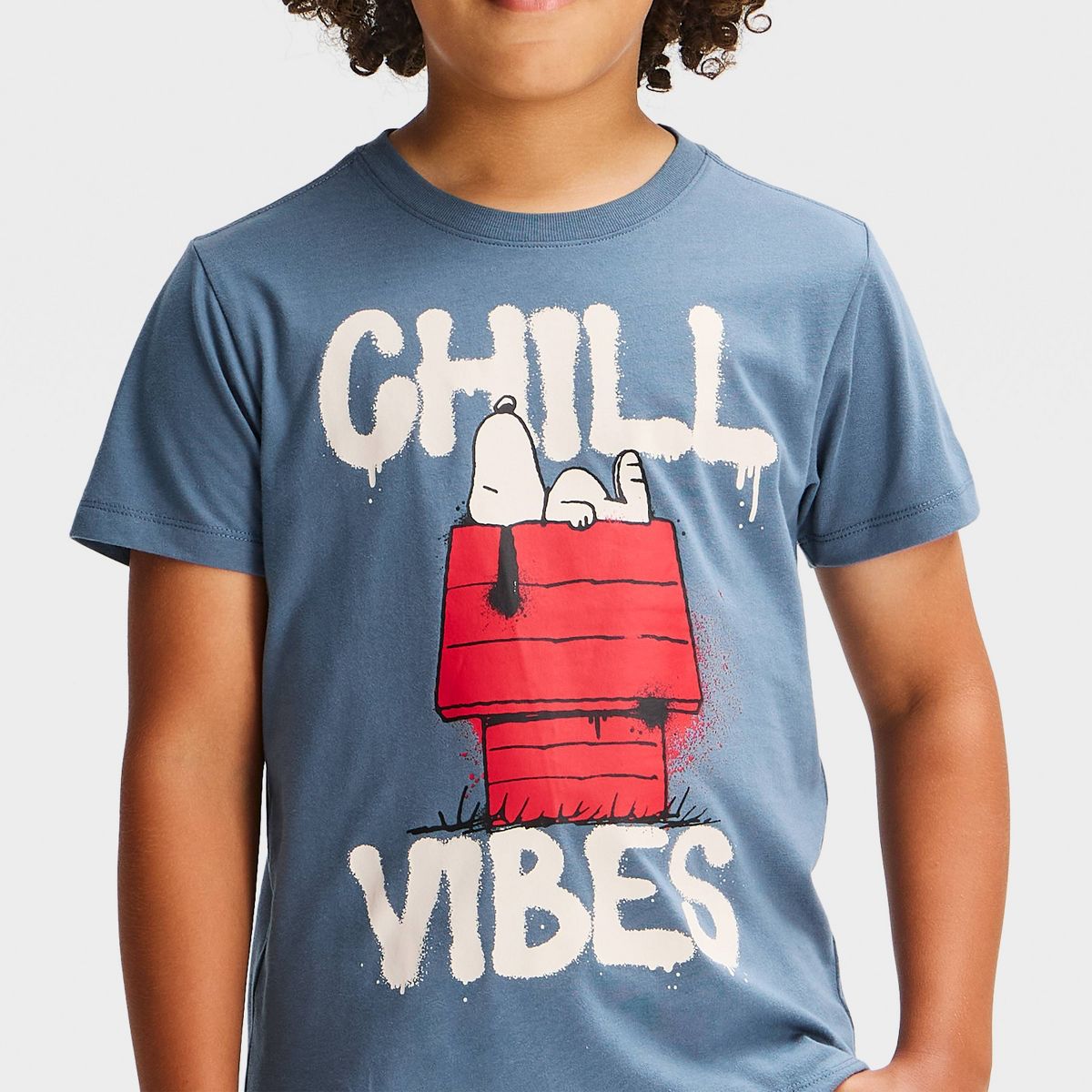 Boys' Peanuts Snoopy "Chill Vibes" Short Sleeve Graphic T-Shirt - Blue - thumbnail 2