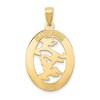 Black Bow Jewelry 14k Yellow Gold Oval Chinese Happiness Symbol Pendant, 18mm (11/16 in) - 3 of 4
