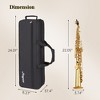Soprano Saxophone Package for All Levels- Complete Beginner-to-Professional Kit with Carrying Case,Neck Strap, Reeds, Stand, and Cleaning Accessories - 2 of 4