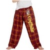 Intimo Harry Potter Boys Houses Plaid Pajama Lounge Pants - 3 of 4