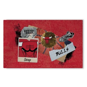 NBA Chicago Bulls Display Washable Rug 32 x 62 Inches - 1 of 4
