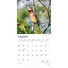 BrownTrout Songbirds 2026 12"x24" Hanging Square Wall Calendar Plastic-Free - 3 of 4
